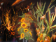 Sunflowers-Corn