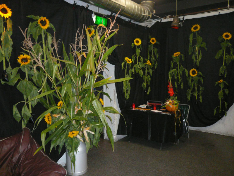 0170_Herbstparty_2011