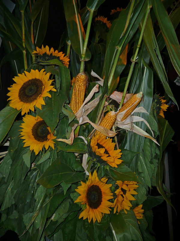 0250_Herbstparty_2011
