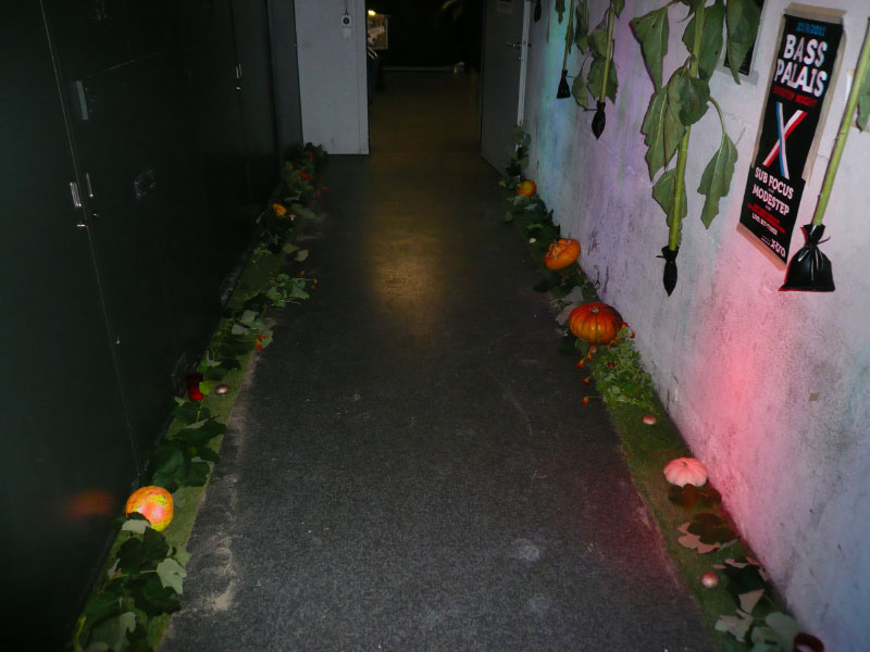 0290_Herbstparty_2011