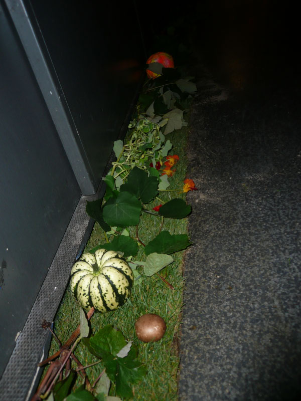 0310_Herbstparty_2011