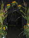 0100_Herbstparty_2011