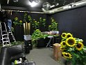 IMG 1612
