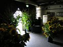IMG 1613