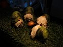IMG 1639