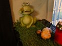 IMG 1641