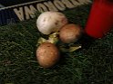 IMG 1646