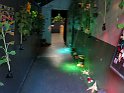 IMG 1653