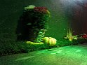 IMG 1662