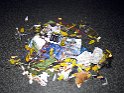 IMG 1833