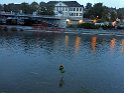 IMG 1839