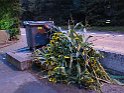 IMG 1846